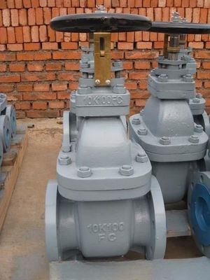 Deniz atık demir kapı valfi JIS F7364 10K DN50--DN400