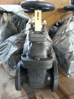 Deniz atık çelik kapı valfi JIS F7366 10K