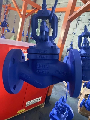 DIN GS-C25 dökme demir küre valfi (WJ41H) DIN Standard GS-C25 Karbon Çelik Flange RF Bellows Seal Globe Valve