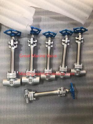 Uzun Saplı Kriyojenik Küresel Vana SUS, DÖKME ÇELİK -196