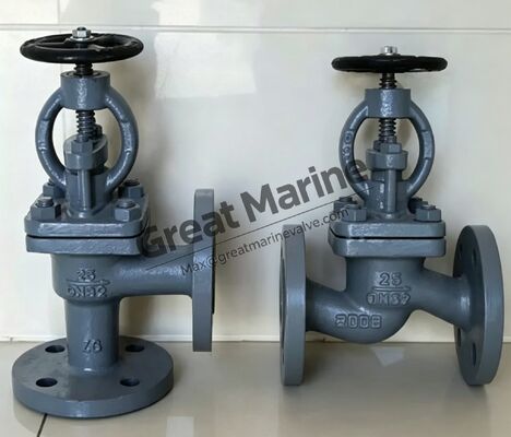 Deniz dökme çelik flensli SDNR valfi GB/T 585-2008 Tip A/AS DIN GLOBE dökme çelik valfi,GGLOBE CHECK VALVE,GLOBE SDNR VALVE